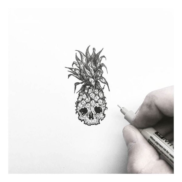 Ананас гравюра