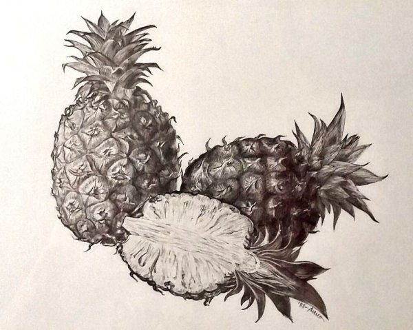 Ананас линейный рисунок
