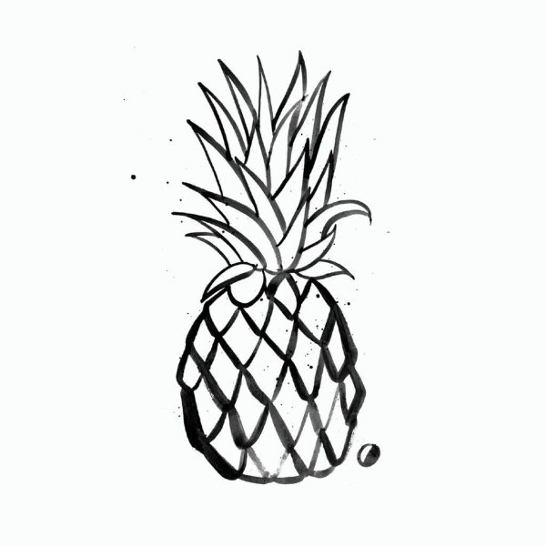 Рисунок ананаса для срисовки