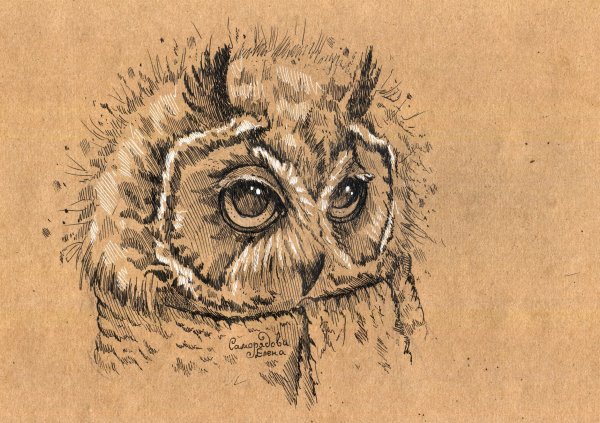 Рисунок на крафте