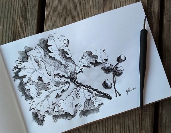 Перо для рисования тушью