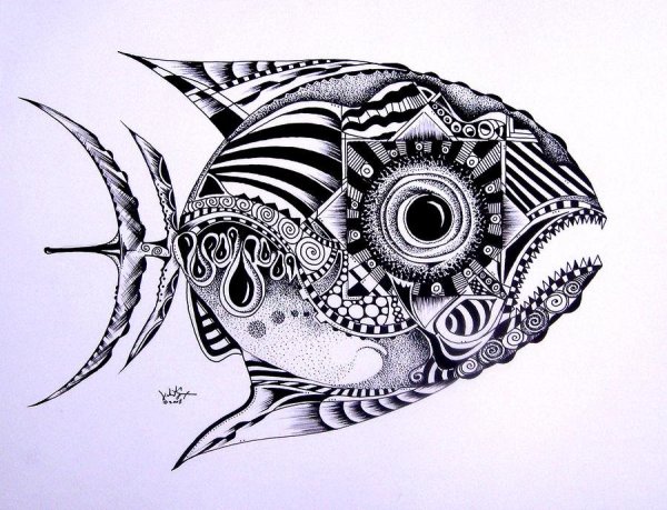 Рыба Графика