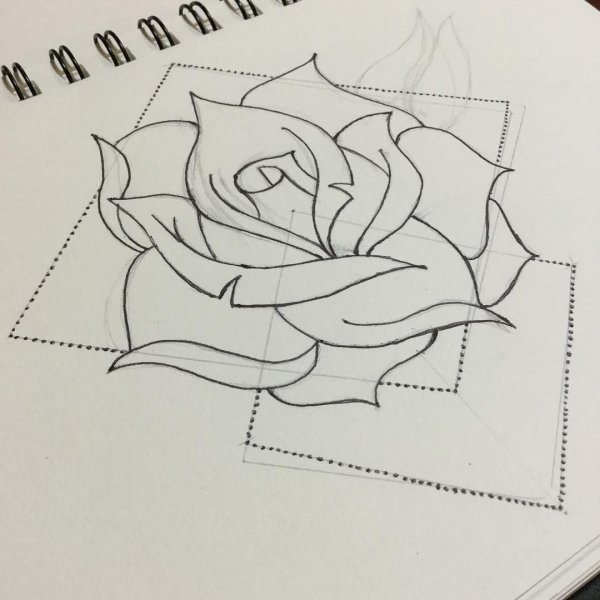 Эскиз розы карандашом в тетради