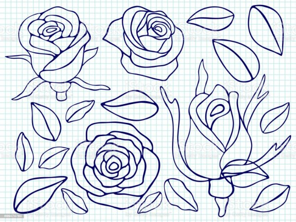 Роза ручкой лёгкая