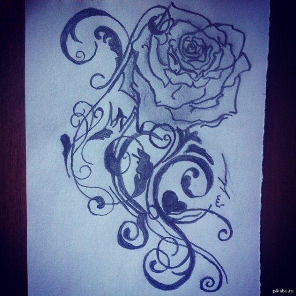 Роза шариковой ручкой