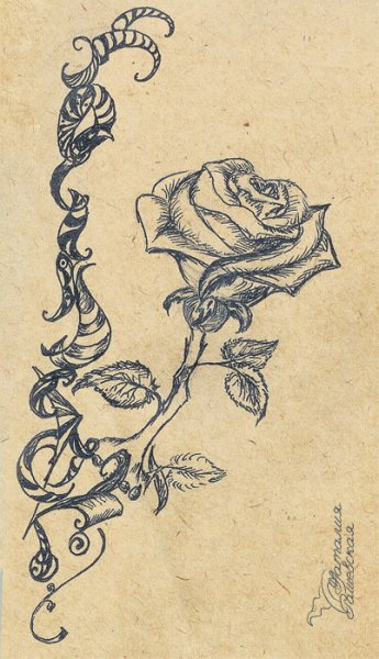 Розы на бумаге чёрной ручкой