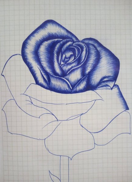 Красивые рисунки ручкой