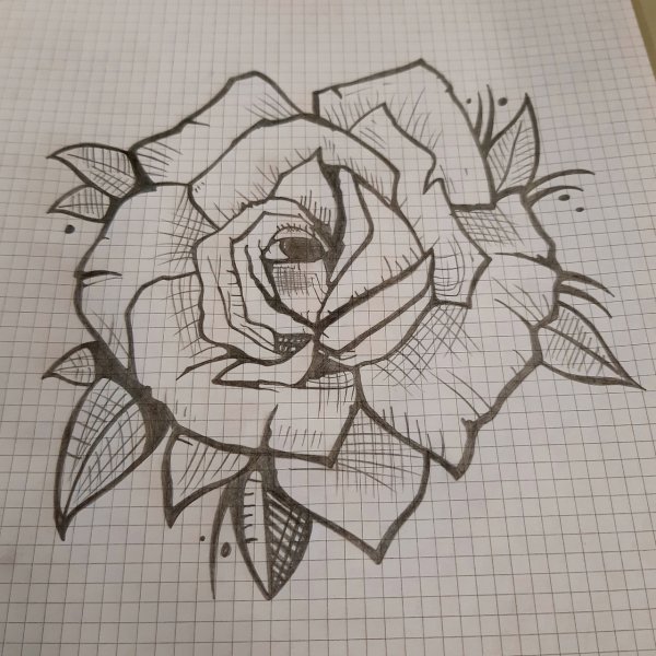 Роза черной ручкой