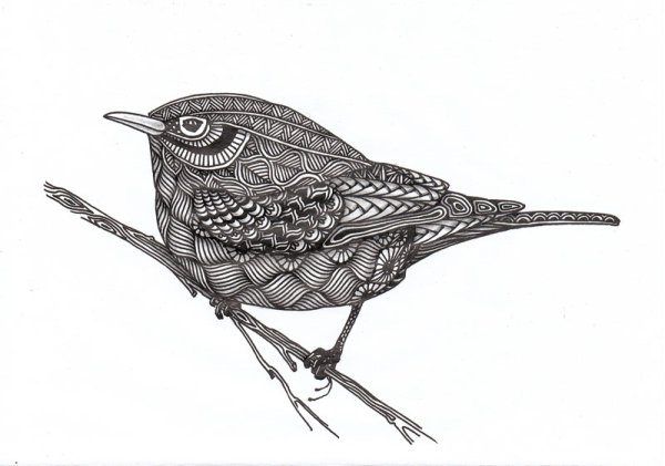 Птицы Графика тушь