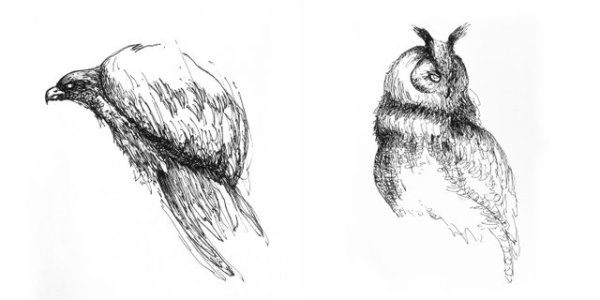 Графика гелевой ручкой животные