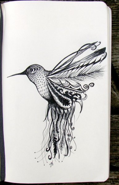 Птица черной ручкой