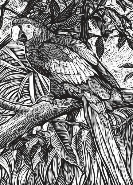 Черно белая Графика