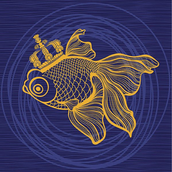 Рисование на черной бумаге