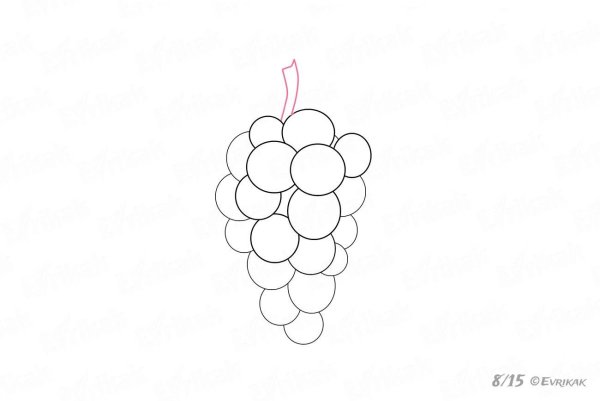 Виноград карандашом