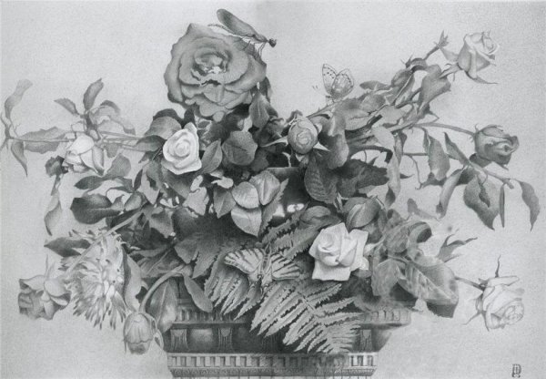 Натюрморт цветы карандашом