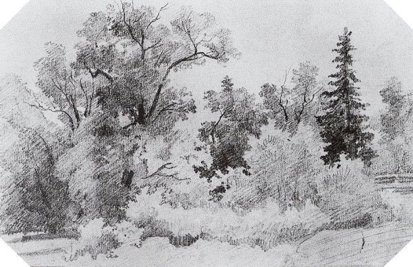 Шишкин офорты зимний лес