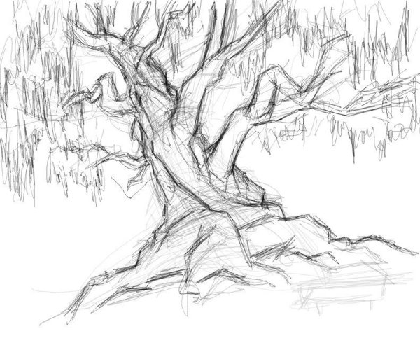 Деревья в графике