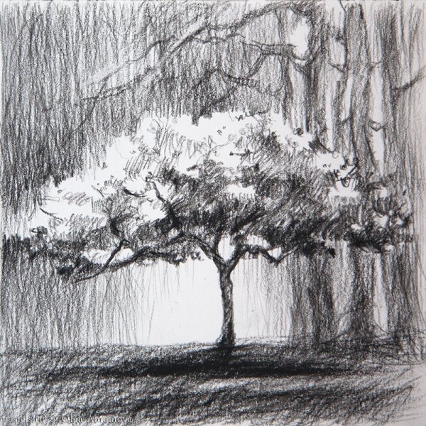 Красивое дерево Графика