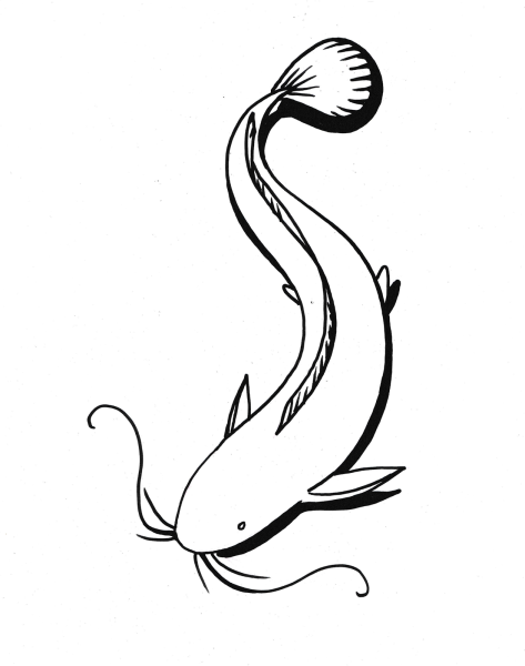 Рисуем сома