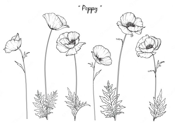 Мак референс