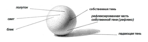 Свет тень полутень рефлекс на шаре