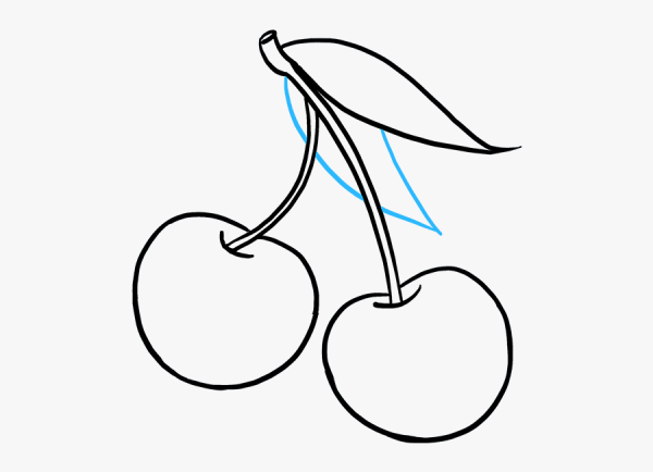 Вишня раскраска для детей