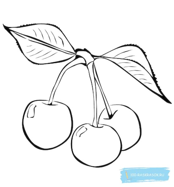 Вишня раскраска для детей
