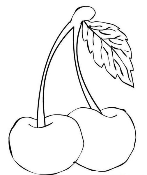 Вишня рисунок легкий