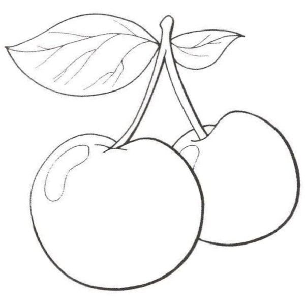 Фрукты раскраска для детей