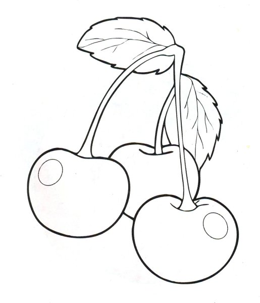 Черешня рисунок карандашом легкий