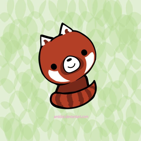 Красная Панда рисунок легкий