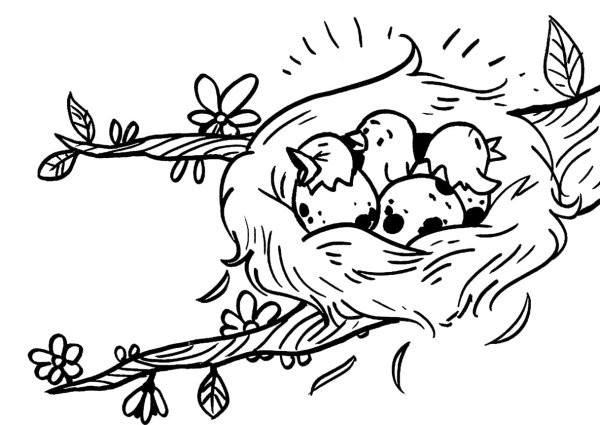 Птичка раскраска