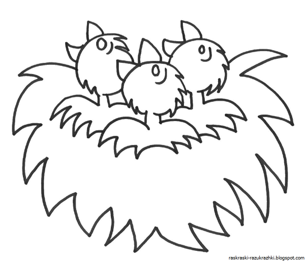 Птица с птенцами раскраска для детей