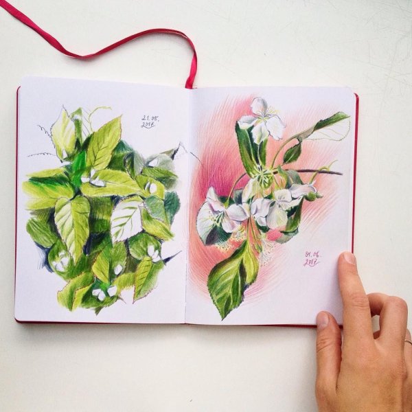 Акварельный артбук