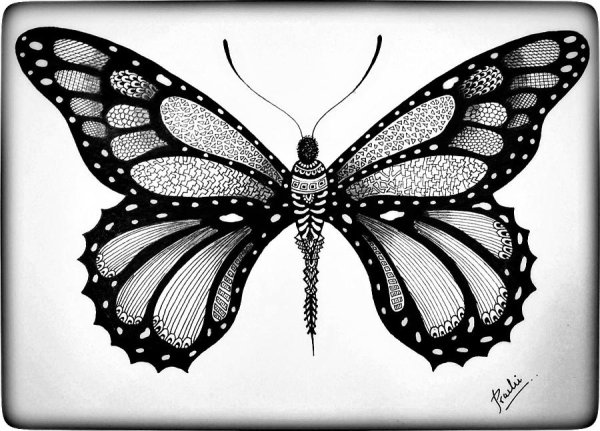 Бабочка карандашом