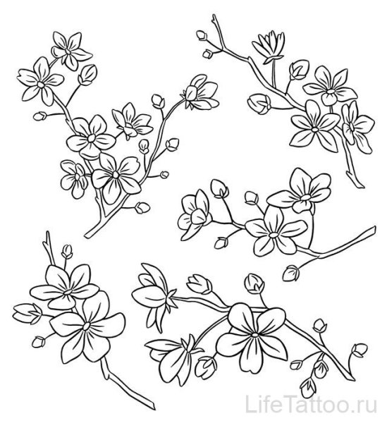 Дерево с ветками для рисования