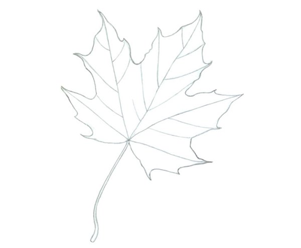 Рисование на листьях клена
