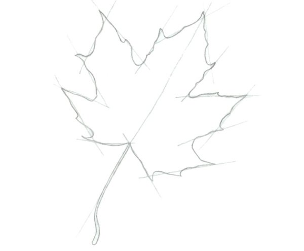 Лист клёна рисунок карандашом