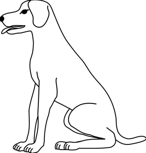 Сидячая собака рисунок сбоку