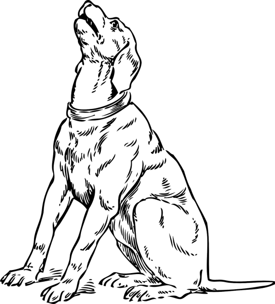 Рисунок собаки поэтапно