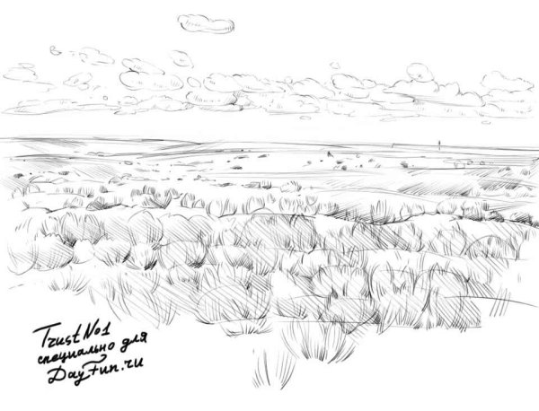 Степь рисунок карандашом