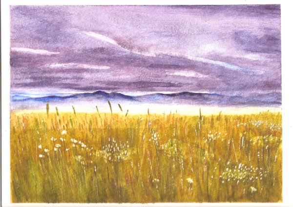 Степь рисунок