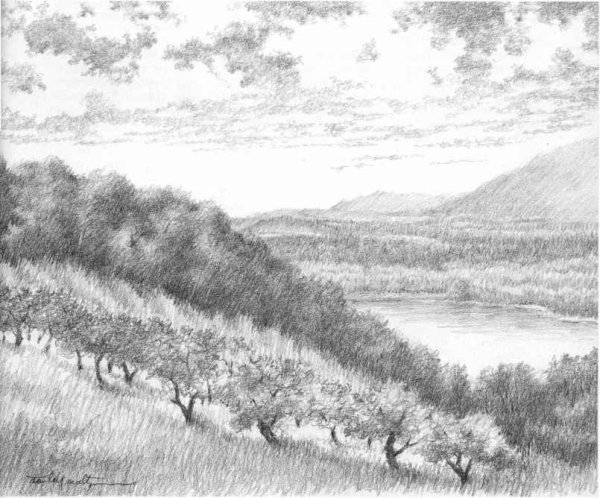 Пейзаж карандашом горизонтальный