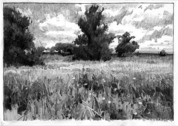 Анастасия Ярошевич пейзаж в карандаше