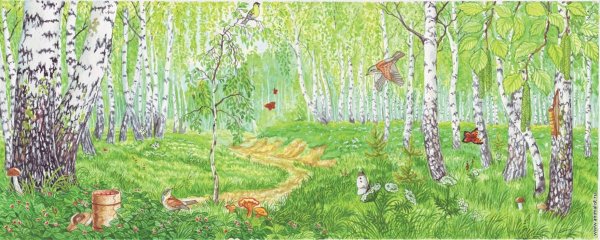 Летний лес рисунок