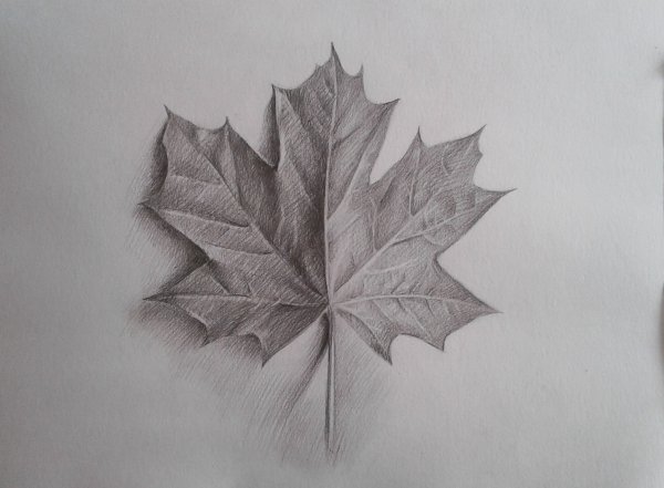 Рисунок легкий