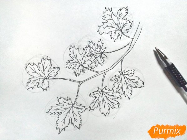 Лист каштана рисунок карандашом