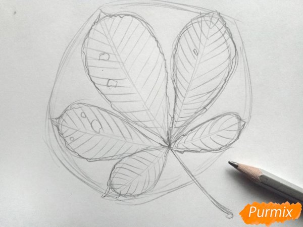 Поэтапное рисование осенних листьев