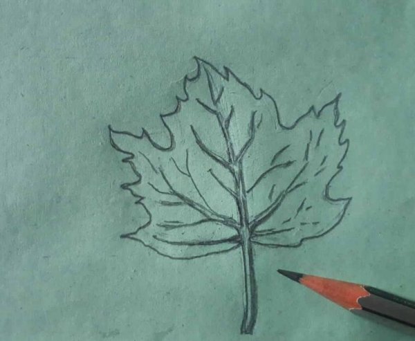 Рисование ветки клена