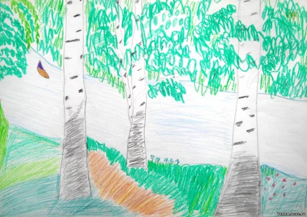Березовая роща карандашом